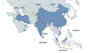 Capacity of 500MT /month